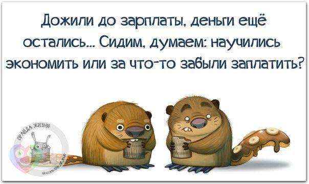 1446232464_frazki-22 (604x361, 142Kb)