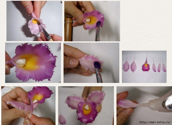 Орхидея. Холодный фарфор (4) (666x484, 171Kb)