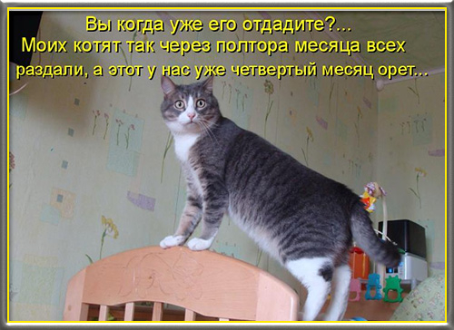 сч-(2) (500x364, 181Kb)