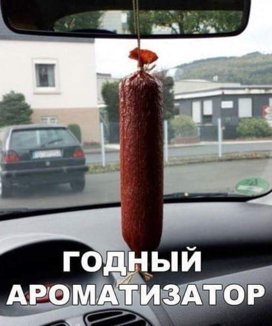 4752699_myaskolb43 (549x659, 63Kb)