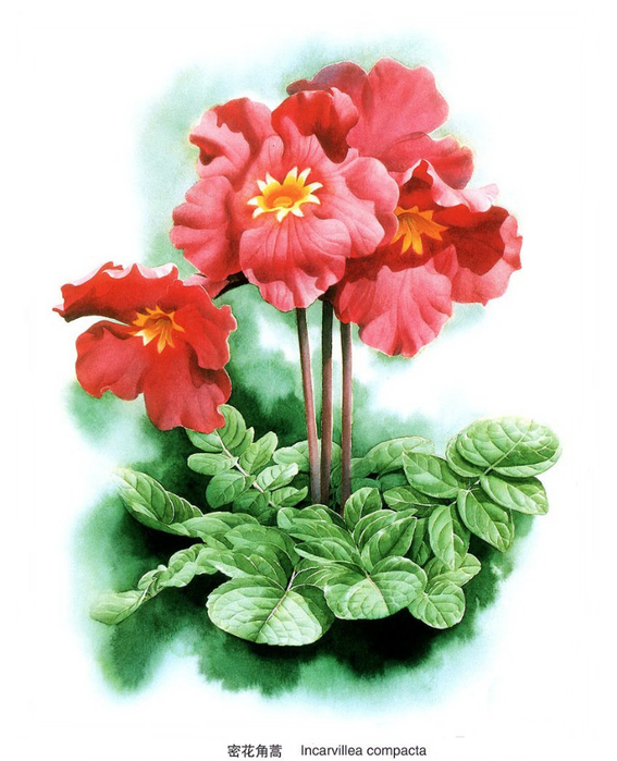 1350085823-0065584-www.nevsepic.com.ua (567x700, 326Kb)