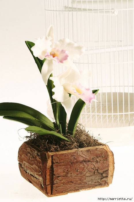 Лепка из полимерной глины. Нежная Орхидея
