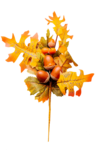  Autumn Fairy (55) (356x550, 162Kb)