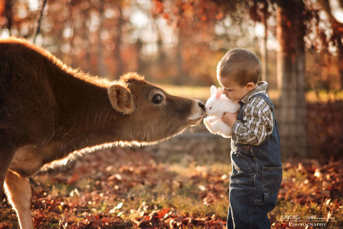 I-take-epic-photos-of-my-kids-and-the-barnyard-animals-5b6884452b77a__880 (700x466, 77Kb)