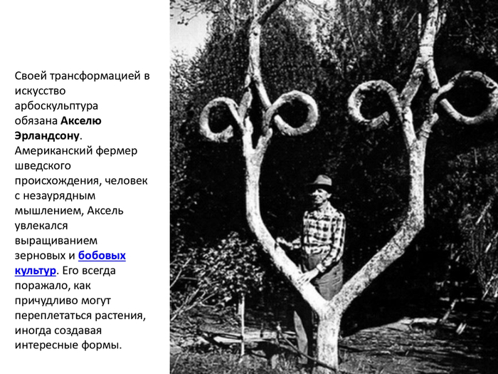 создания скD1�льптур из ÐB6ивых_page-0006 (700x525, 220Kb)