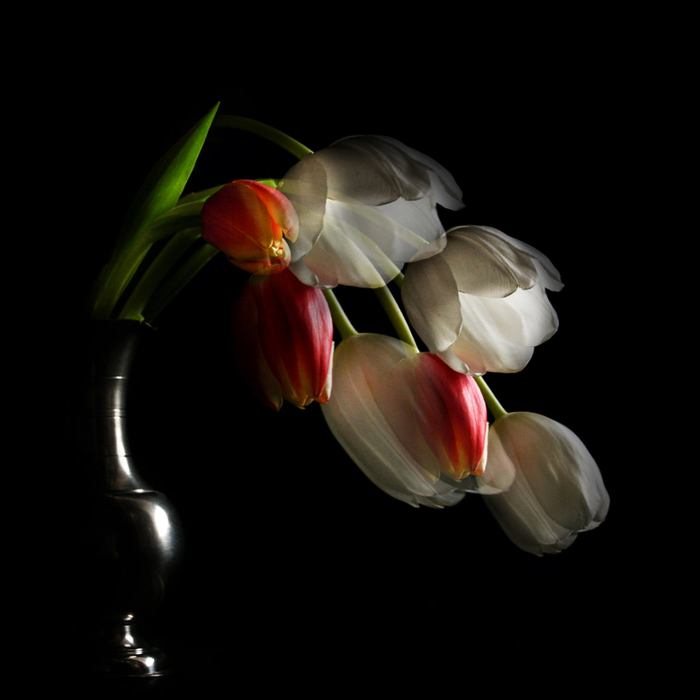 tulpen_fantasien_by_bildmalerin-d8ugum8 (700x700, 156Kb)