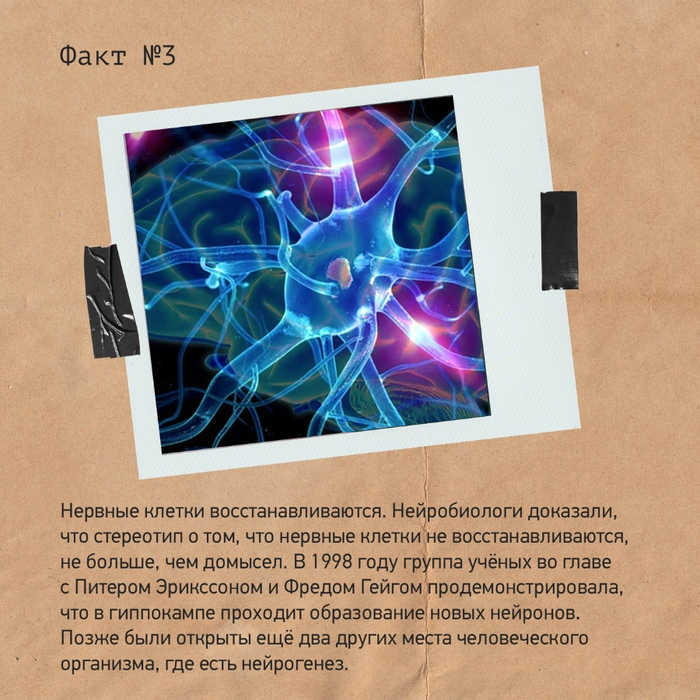 3 (700x700, 589Kb)