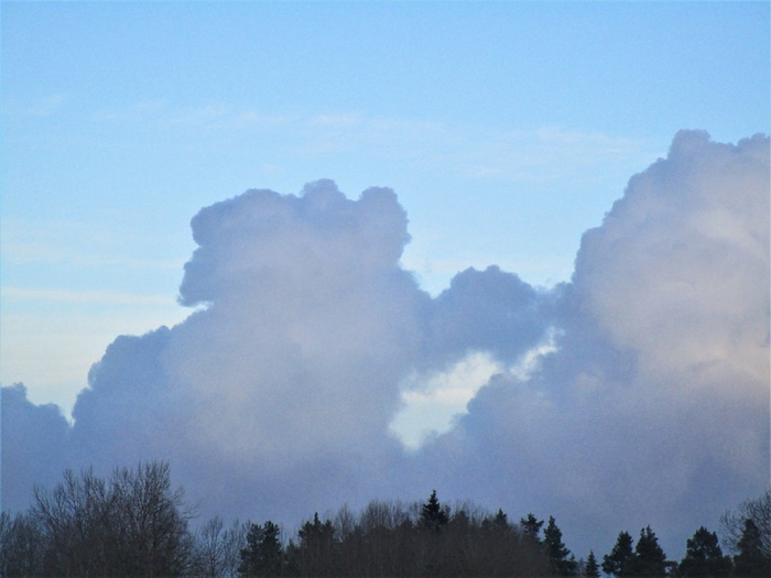 IMG_1197 (700x525, 267Kb)