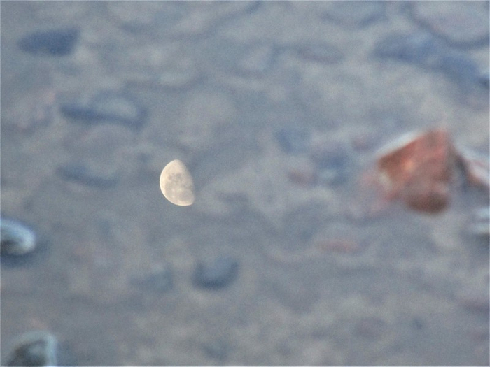 IMG_1174 (700x525, 260Kb)