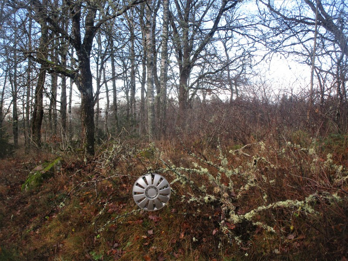 IMG_1206 (700x525, 546Kb)