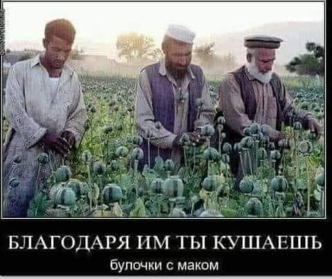    (480x403, 29Kb)