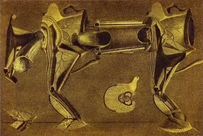1920 Un peu malade le cheval patte pelu. .  , , . 16 x 23 cm. GAM - Galleria Civica d'arte Moderna e Contemporanea, Turin, Italy. (700x471, 127Kb)