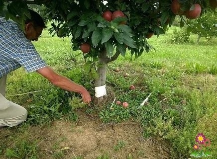1629464217_1 (436x320, 57Kb)