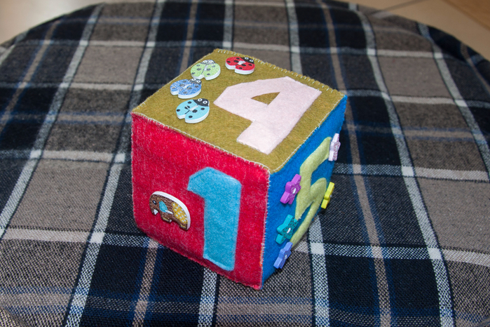DSC_1066 (700x466, 481Kb)