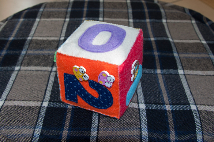 DSC_1068 (700x466, 448Kb)