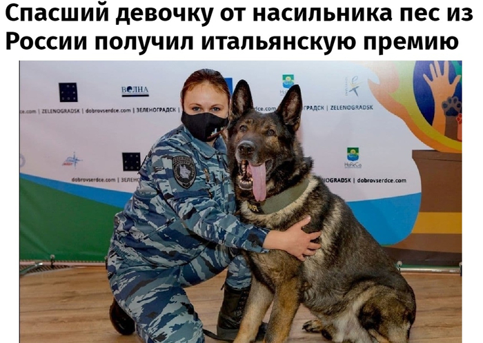 пес (700x498, 311Kb)