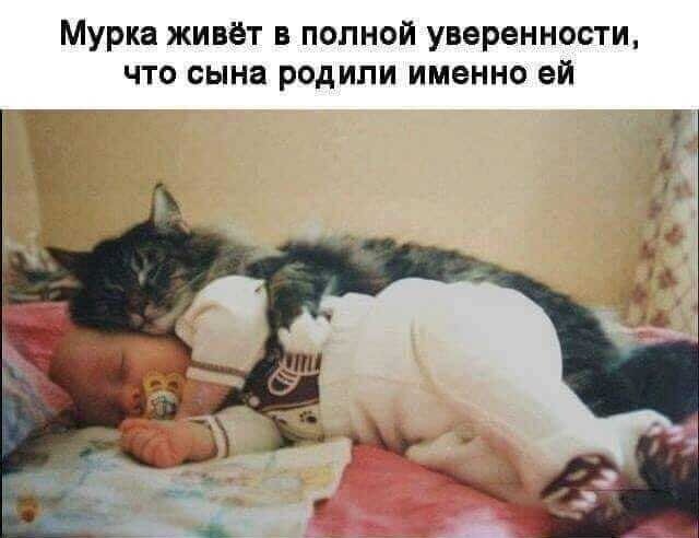 5402287_d7023ad4ea9306473f9d73baefa46a9a6be449e8e1cab7e96712b16879058a6c1 (640x492, 34Kb)