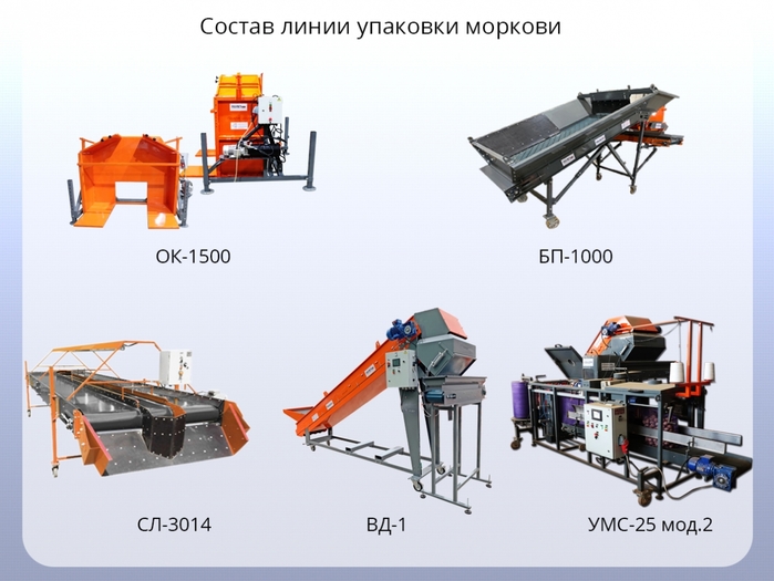   /7282958_Liniya_ypakovki_morkovi_3 (700x525, 198Kb)
