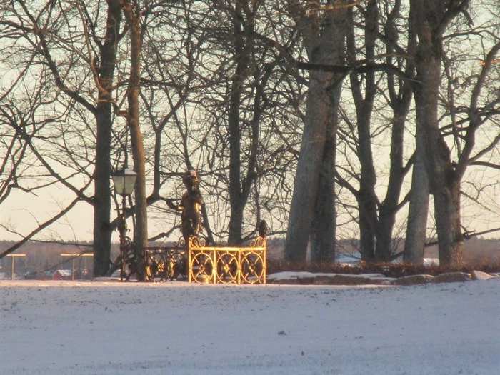 IMG_2378 (700x525, 430Kb)