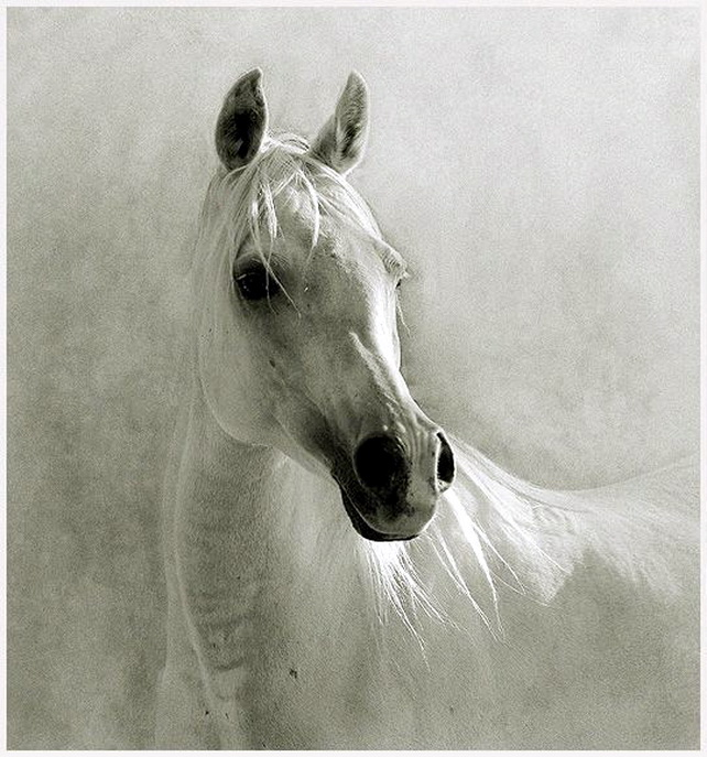 582dcd8cfb1c (642x687, 253Kb)