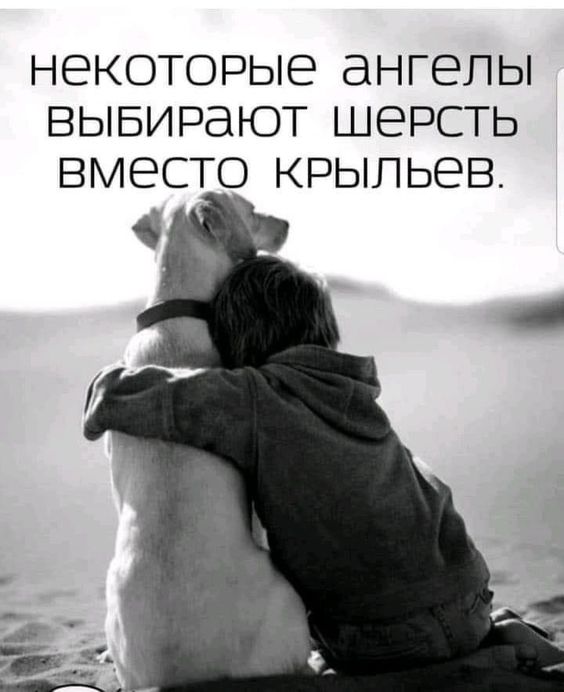 7054899_00935b5c09d76081b5fb33c247e09b1f (564x692, 43Kb)