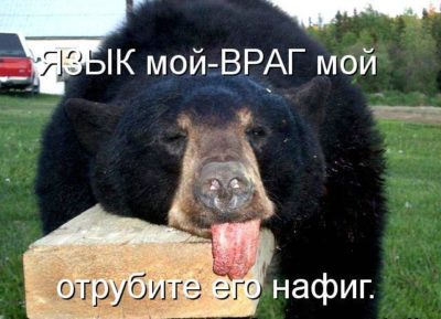 4752699_shebzyhov7 (400x289, 27Kb)