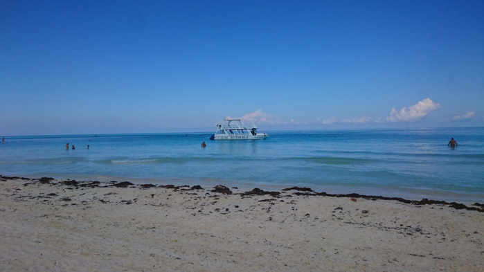 8 IMG-20220106-WA0010 (700x393, 208Kb)