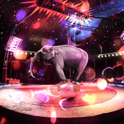 5158259_footage (400x400, 1453Kb)