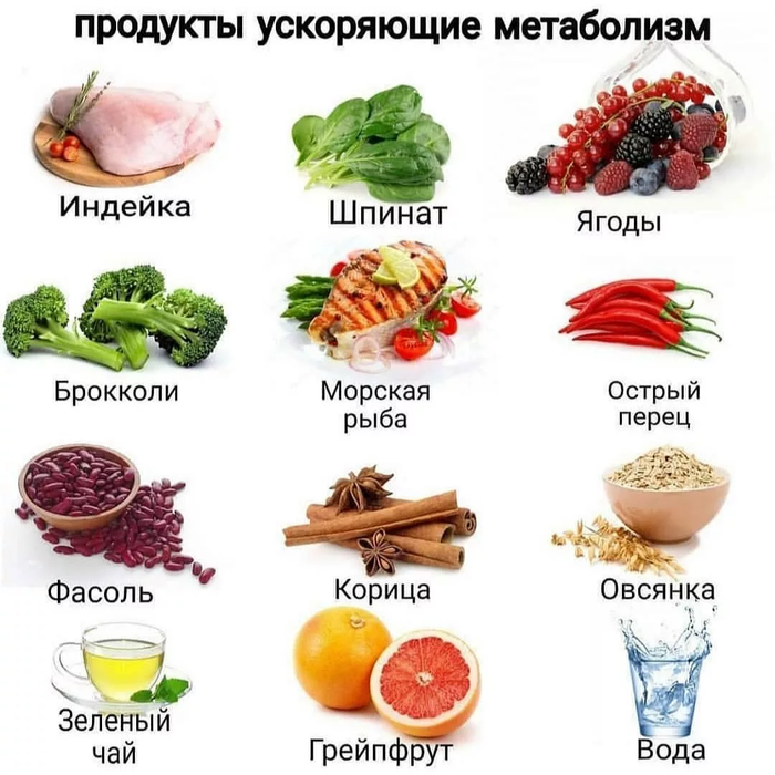 Какой продукт обмена веществ. Продукты метаболизма это. Продукты полезные для метаболизма. Продукты для метаболизма и обмена веществ. Полезные продукты для члена.