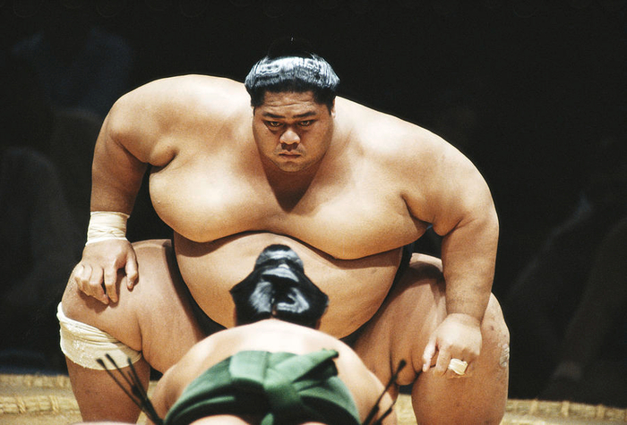 konishiki-the-dumptruck-of-hawaii-chris-cole (700x475, 335Kb)