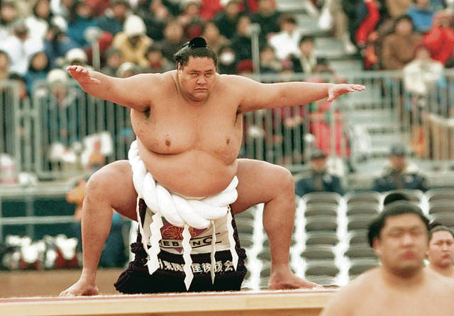 web1_2001_02_09-AKEBONO-1 (640x446, 154Kb)