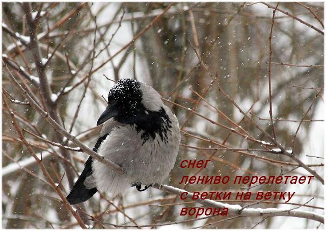 4752699_vzimma22 (640x454, 61Kb)
