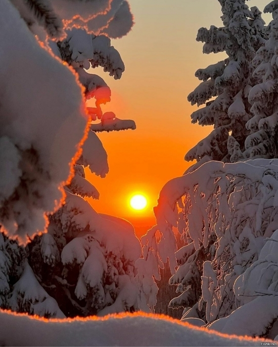3437583_a8ad1091602 (562x700, 258Kb)
