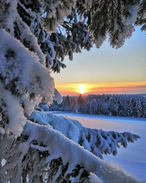 3437583_974261419_n (560x700, 277Kb)