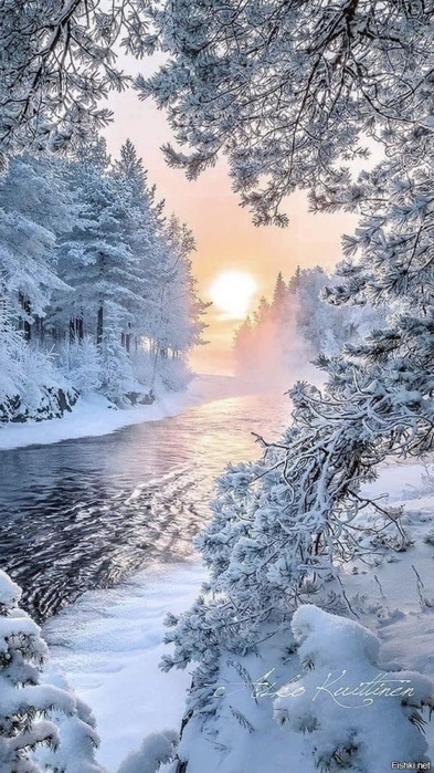 3437583_595cd342 (393x700, 255Kb)