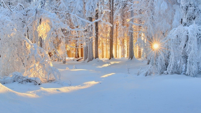 3437583_399726 (700x393, 238Kb)