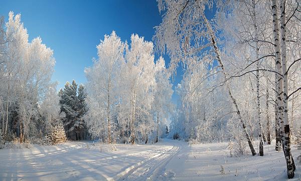 3437583_1166 (600x361, 60Kb)
