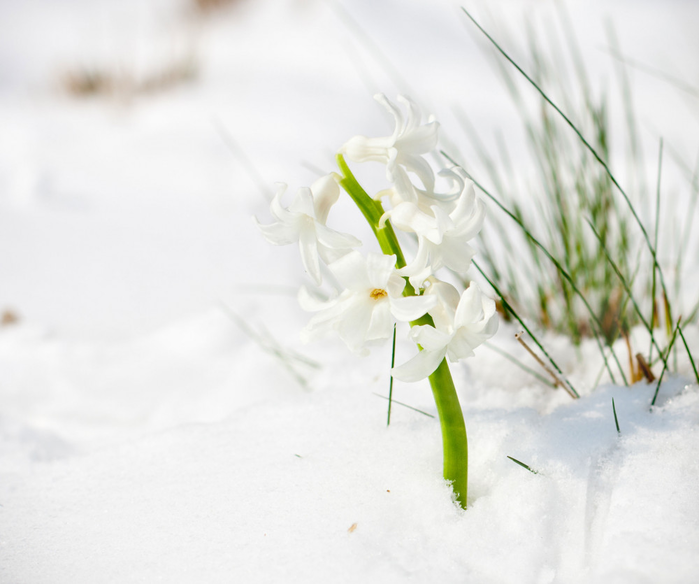 изображение_2022-02-11_214441 (700x584, 325Kb)
