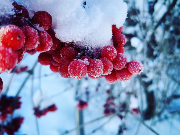 изображение_2022-02-11_214459 (700x525, 547Kb)