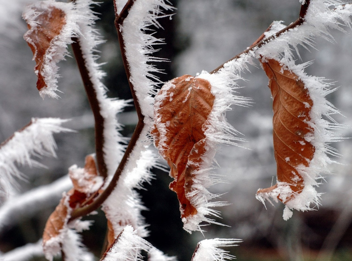 изображение_2022-02-11_214513 (700x519, 574Kb)