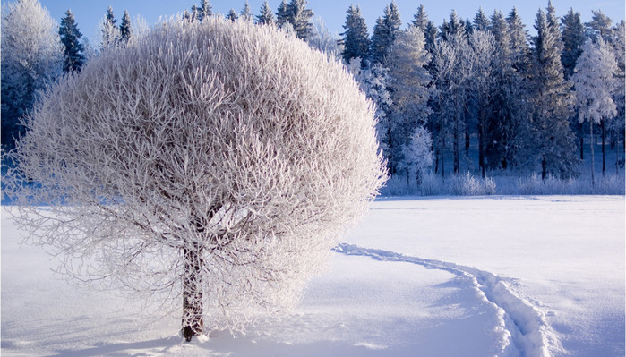 изображение_2022-02-11_214613 (700x399, 549Kb)
