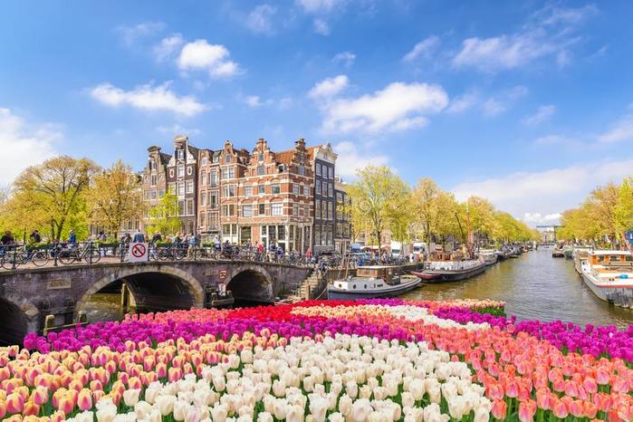 amsterdam-spring-tulip-netherlands-city-skyline-canal-waterfront-flower-108895366 (900x666, 72Kb)