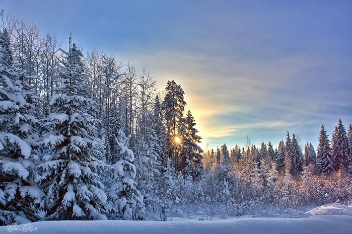 3437583_305540_900 (700x465, 120Kb)