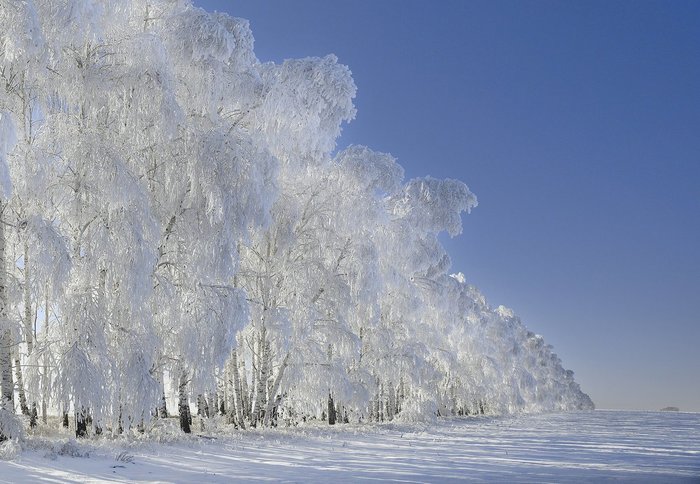 3437583_DxtZHIyXcAEDDqW (700x484, 78Kb)