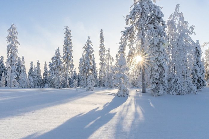 3437583_3953eeaec9 (700x466, 74Kb)