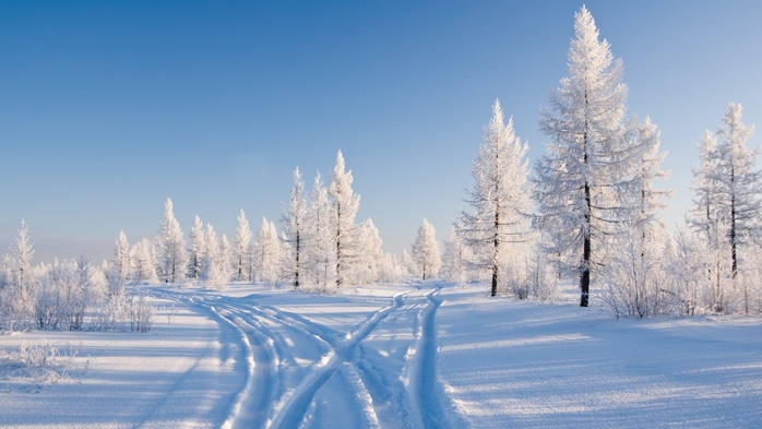3437583_1617416360 (700x393, 188Kb)