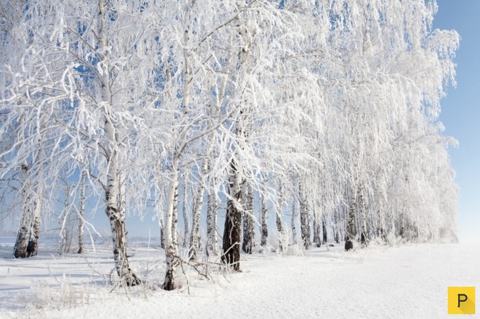 3437583_1449474106_f2 (700x465, 117Kb)