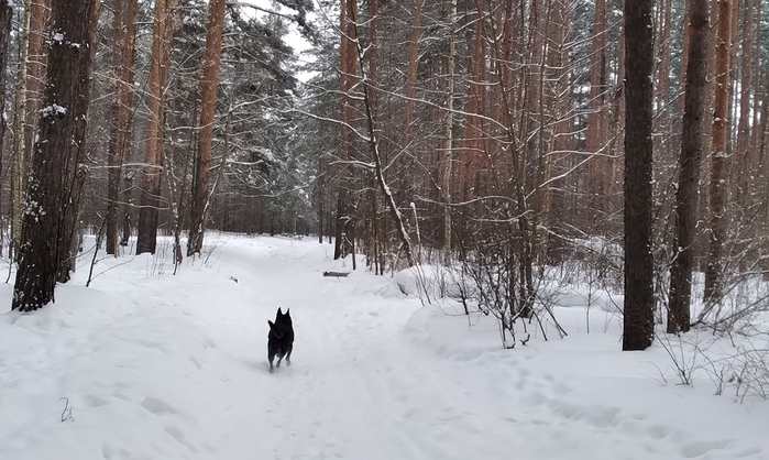 20220201_112302 - копия (700x418, 272Kb)