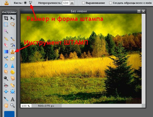 Как убрать ненужный объект на фотографии. Фоторедактор Pixlr (7) (632x487, 630Kb)