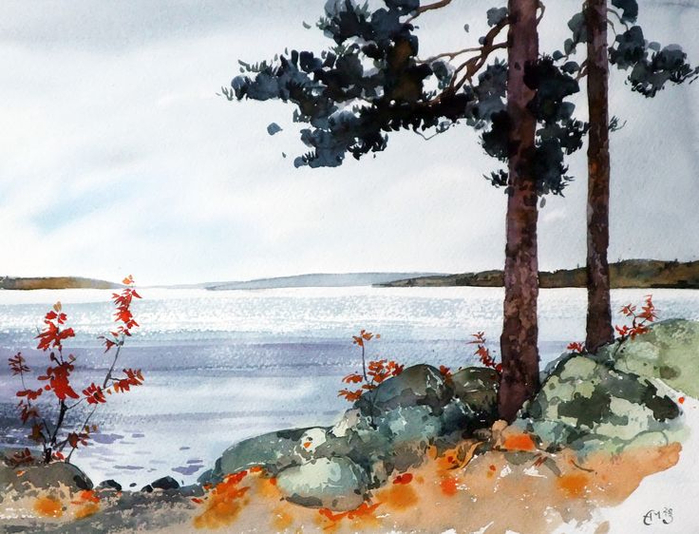 d0cde95759b4498edfb54e03b1b1dfb5--streng-gouache (700x534, 368Kb)